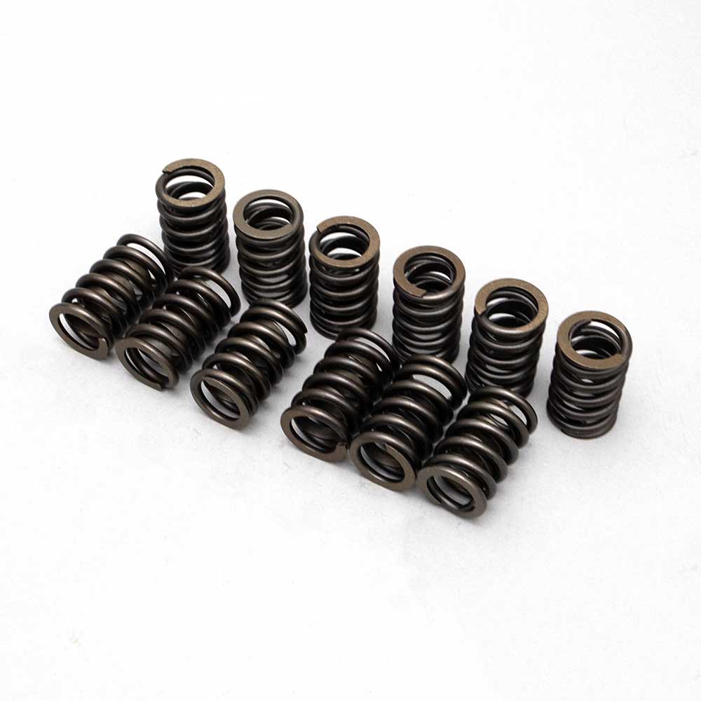 V6 Performance Valve Spring Set
